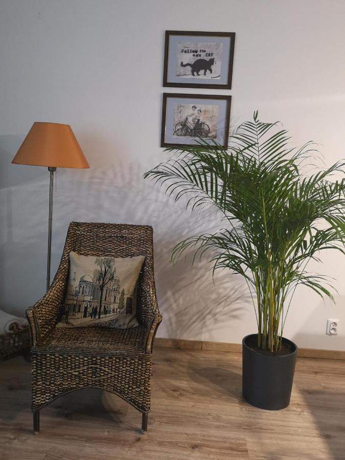 Villa Garden Paryski Olštýn Exteriér fotografie