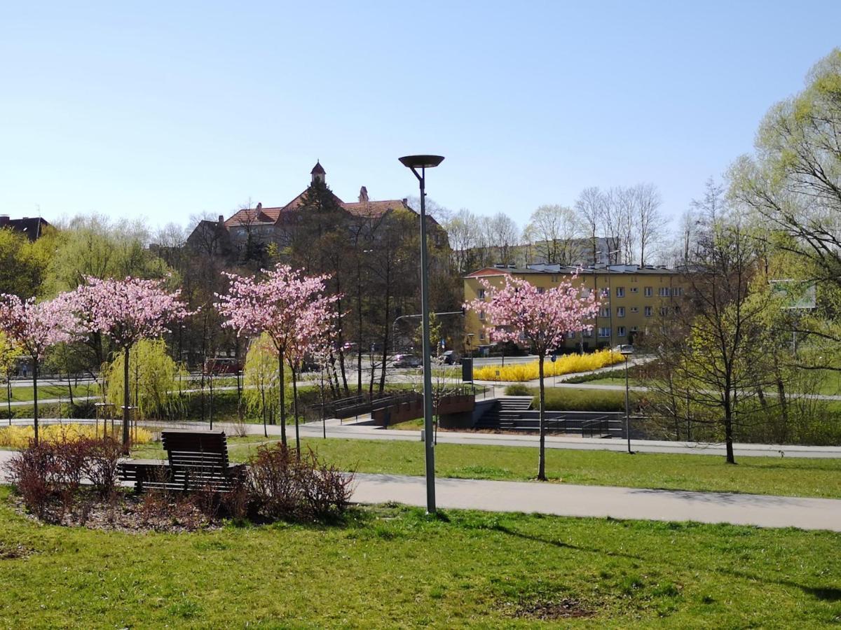 Villa Garden Paryski Olštýn Exteriér fotografie